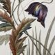 Large Art Nouveau Floral Faience Tile 24 x 38cm