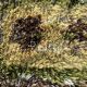 Vintage Scandinavian Design Wool Rya Rug Woven Handmade Vintage 1970s
