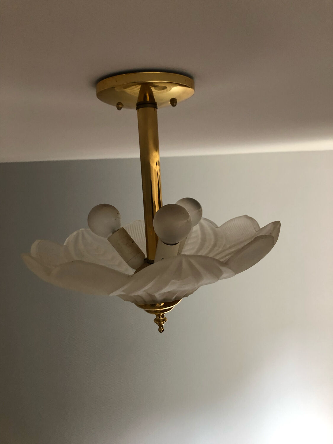 Glass and brass suspension