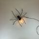 Mid-Century Spider Wall Lamp, 1960s