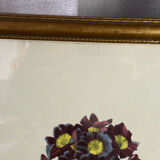 Botanical print, P-J Redouté, Bear's Ears