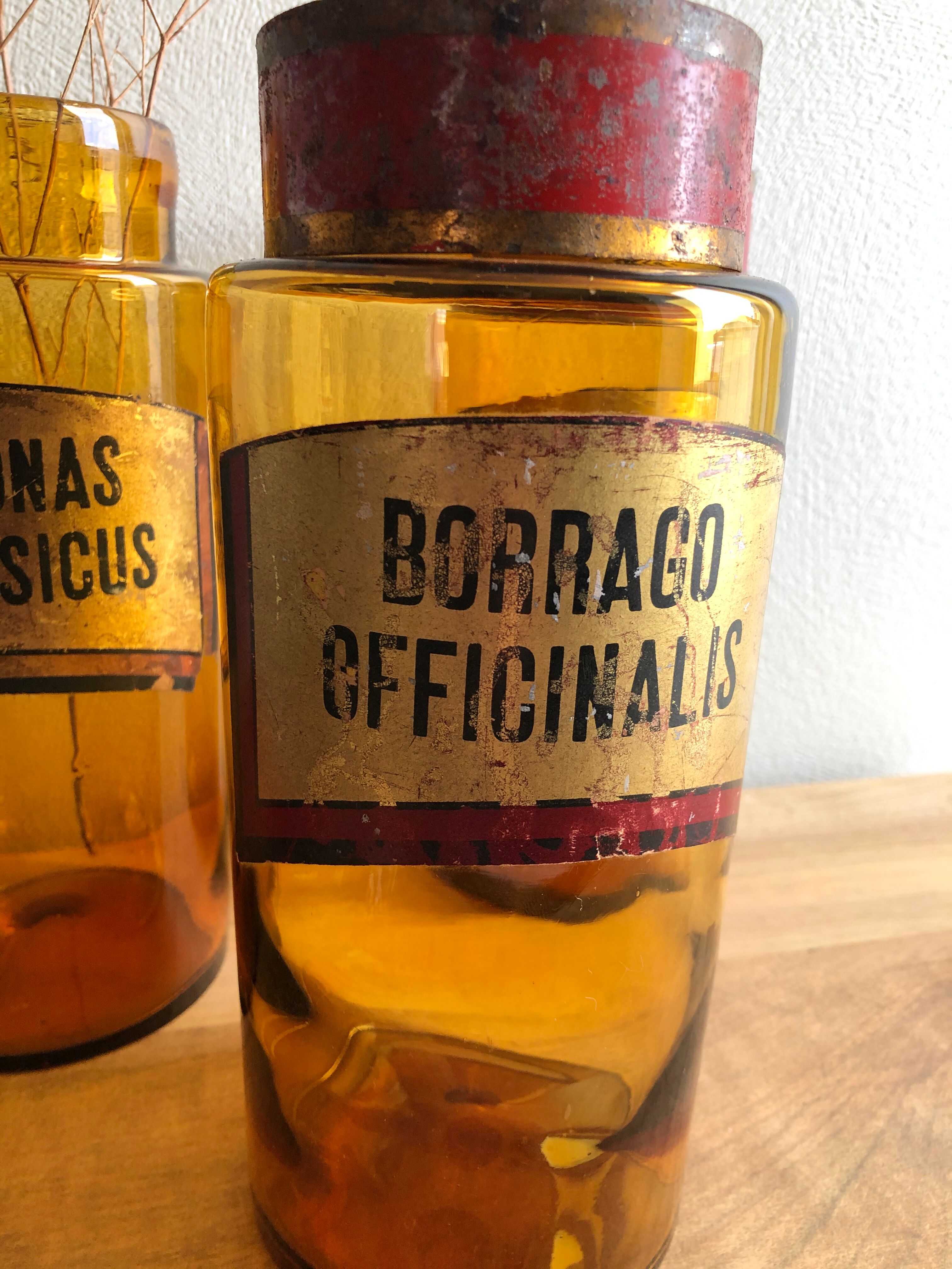 Old pharmacy bottle "Borrago Officinalis" brown glass