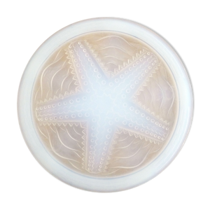 Dessous de plat etoile de mer opalescent