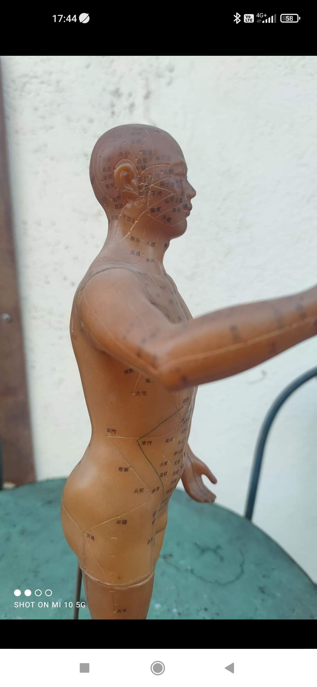 Acupuncture mannequin circa 1960