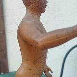 Acupuncture mannequin circa 1960