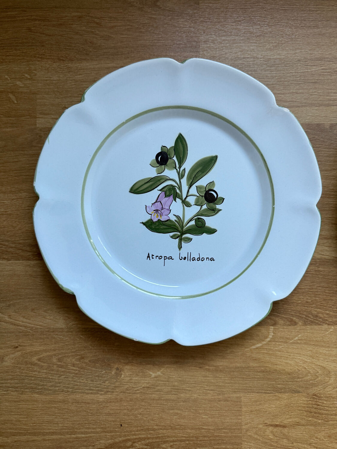 Pair of vintage Charolles plates hand-painted – Botanical decor