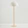 MK10455 Lampadaire Champion par Knud Christensen