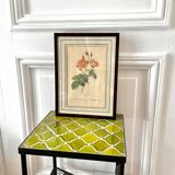 Botanical plate P-J feared Rosa centifolia Anemonoides