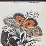 Set of 2 wooden boards with butterfly botanical board