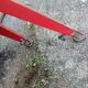 Lot plinth, springboard, gymnastics horse