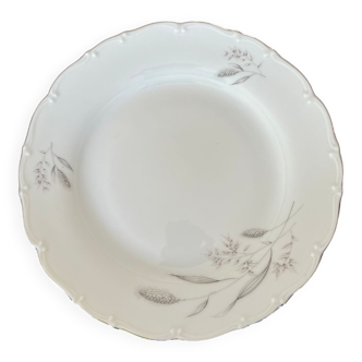 Set of 12 plates