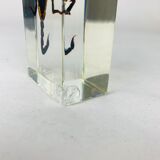 Insect scorpion resin object of curiosity