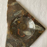 Vintage stone ashtray with orthoceras fossils