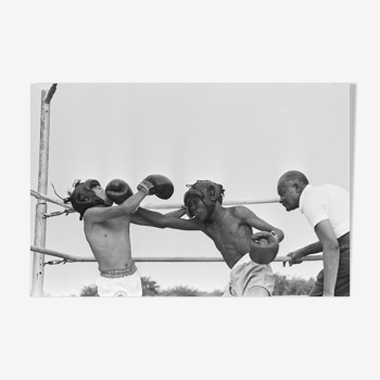 Photo Print photo baryté amateur boxing match of teenager 30x45cm