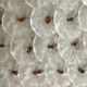 Applique Millefiori