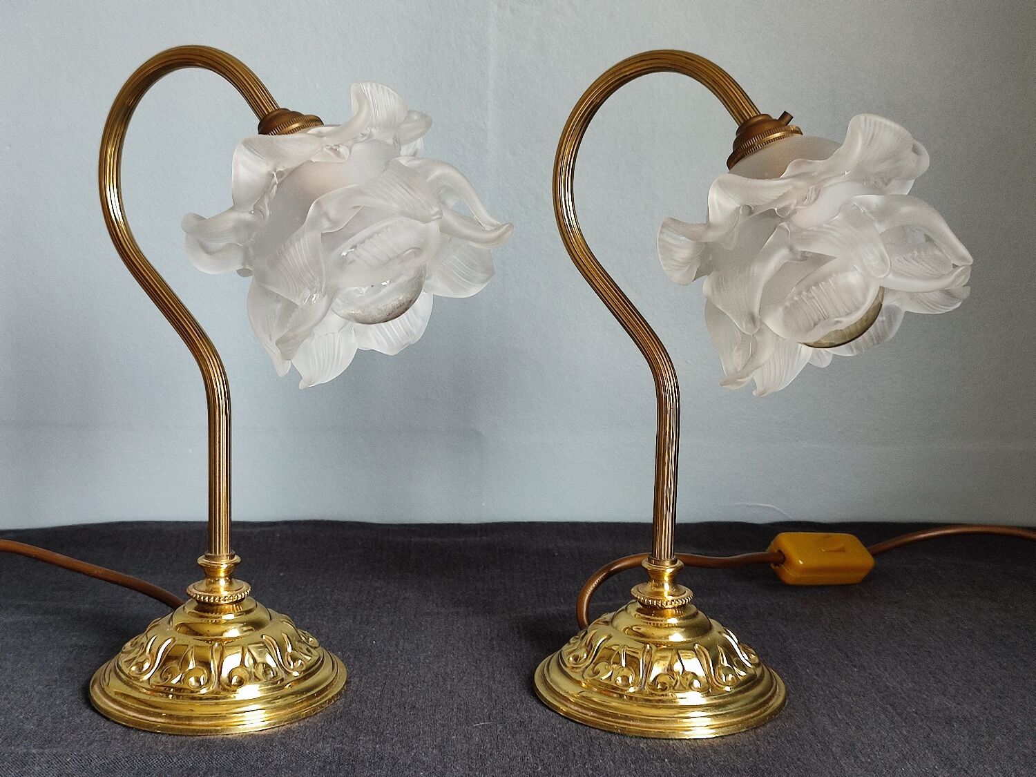 Pair of vintage gooseneck lamp