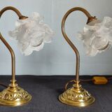 Pair of vintage gooseneck lamp