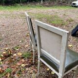Louis 16 style chairs