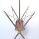 Folding magazine rack