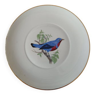 Assiette en porcelaine de Limoges Prestige Cotinga