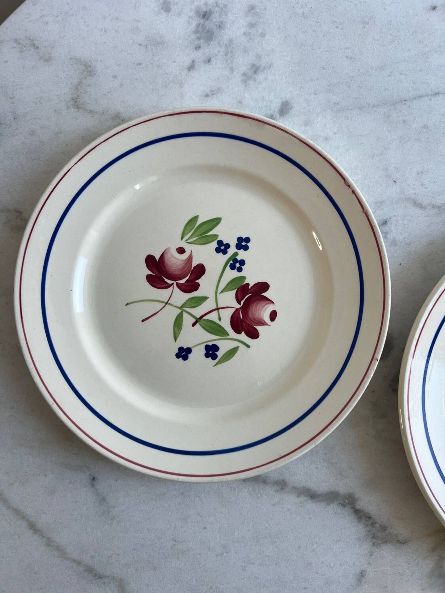 Lot de 2 assiettes plates Bagatelle Luneville