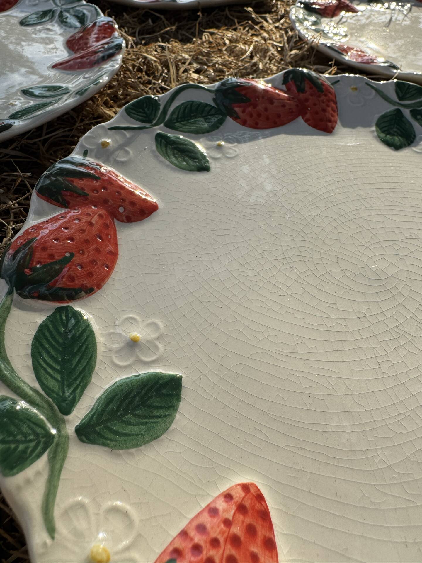 Longchamp antique strawberry barbotine plates