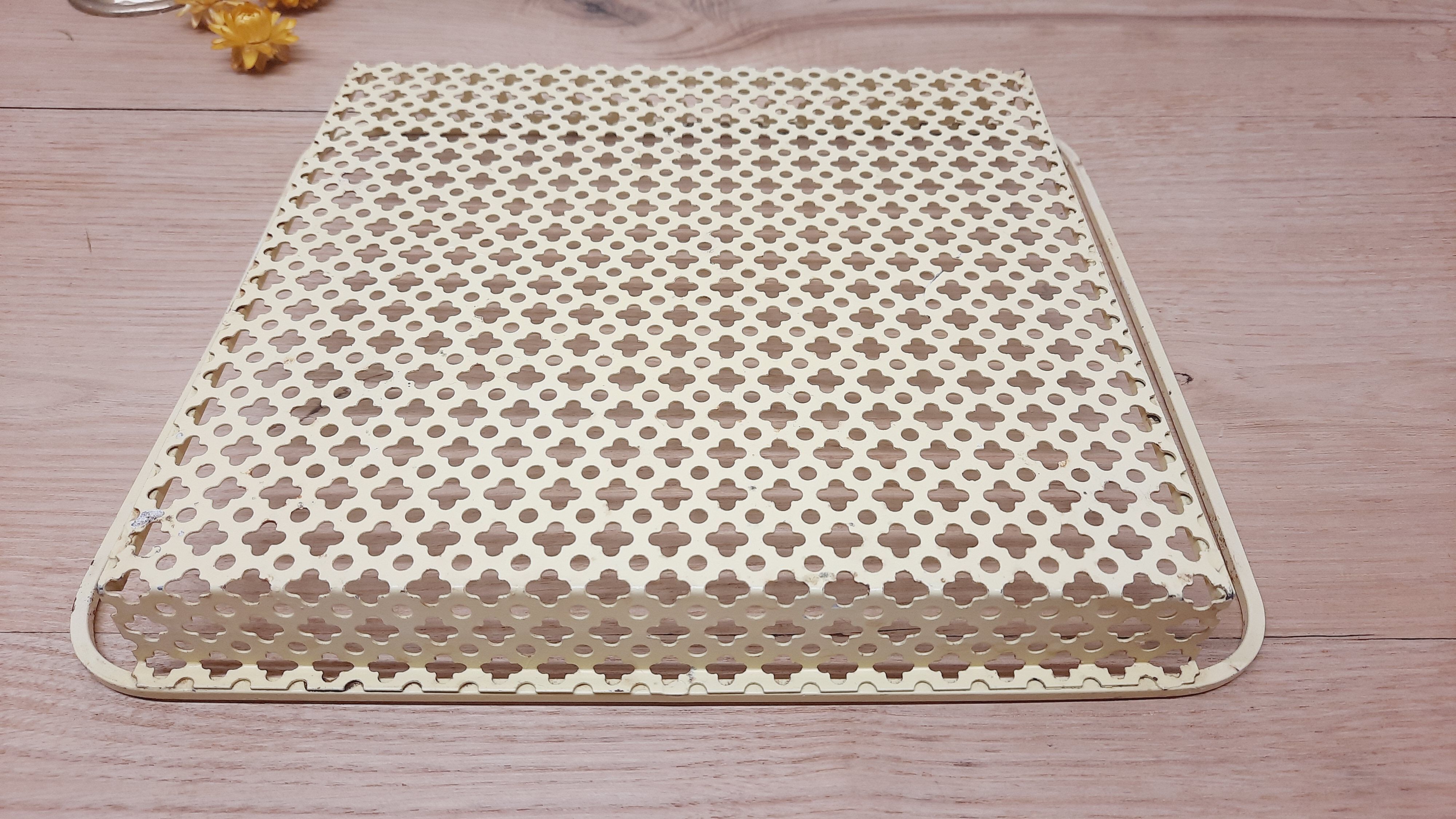 Mathieu Mategot tray