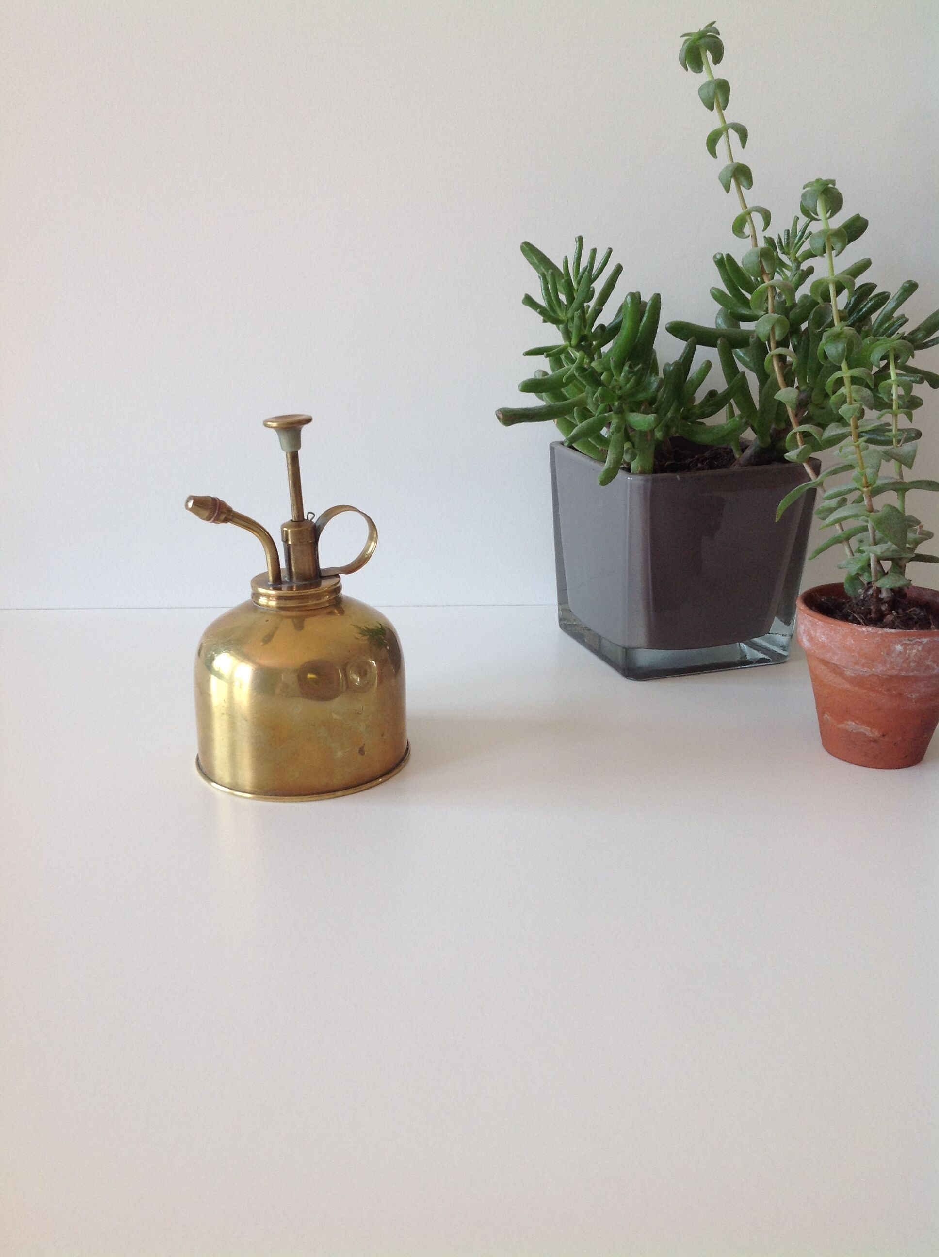 Atomizer for plant in brass