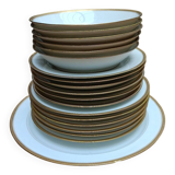 Haviland Limoges porcelain tableware