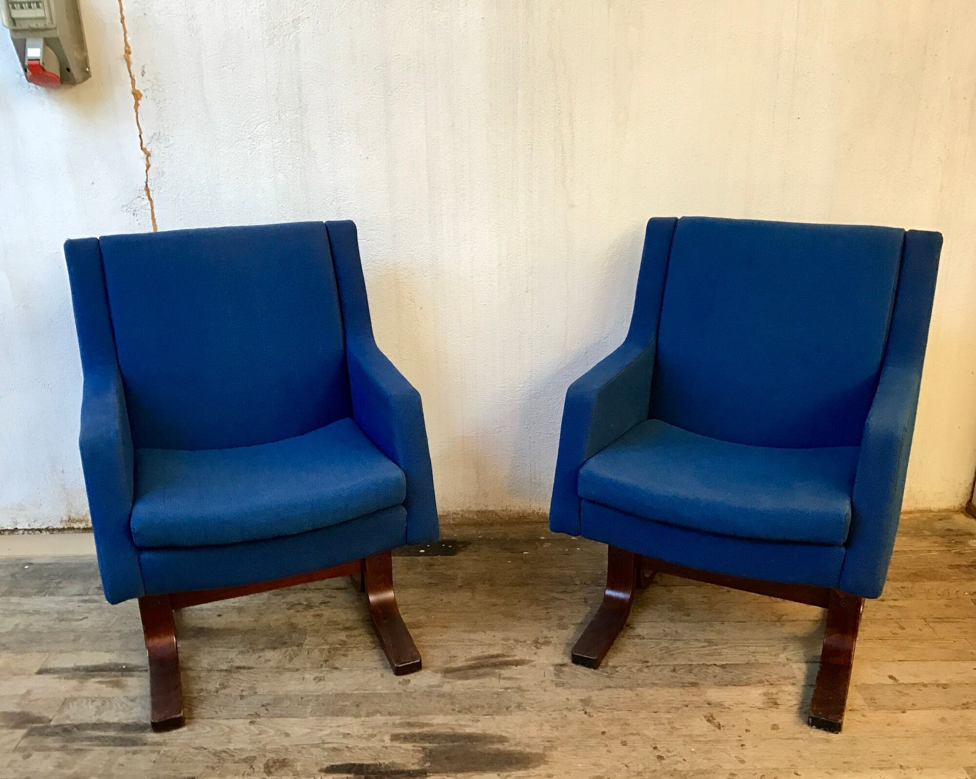 Pair of Chair of the Strasbourg Council of Europe