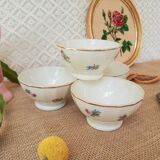Set of 4 porcelain bowls of old limoges