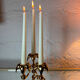 Chandelier Palm Nagel années 70