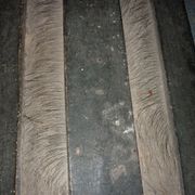 Ancienne malle de voyage en bois bombée