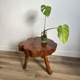 Brutalist coffee table, elm slice, tripod, 1960s