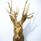 Trophy bust head chevreuil deer taxidermy gold gold