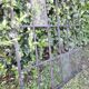 Industrial arched metal window L128xH114 19th century glass roof 2 leaves