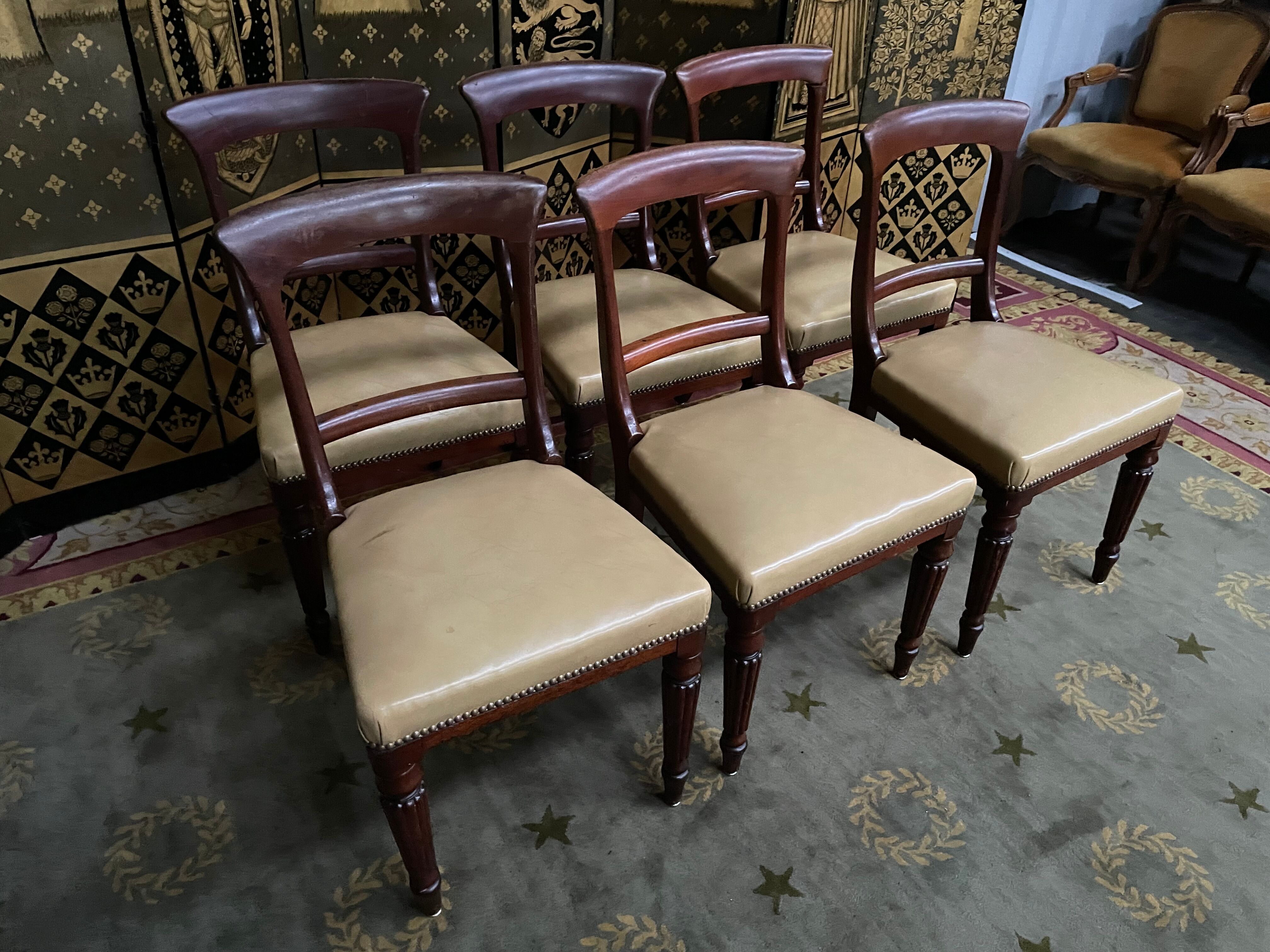 6 chaises anglaises Louis Philippe en acajou et cuir