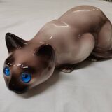 Chat siamois