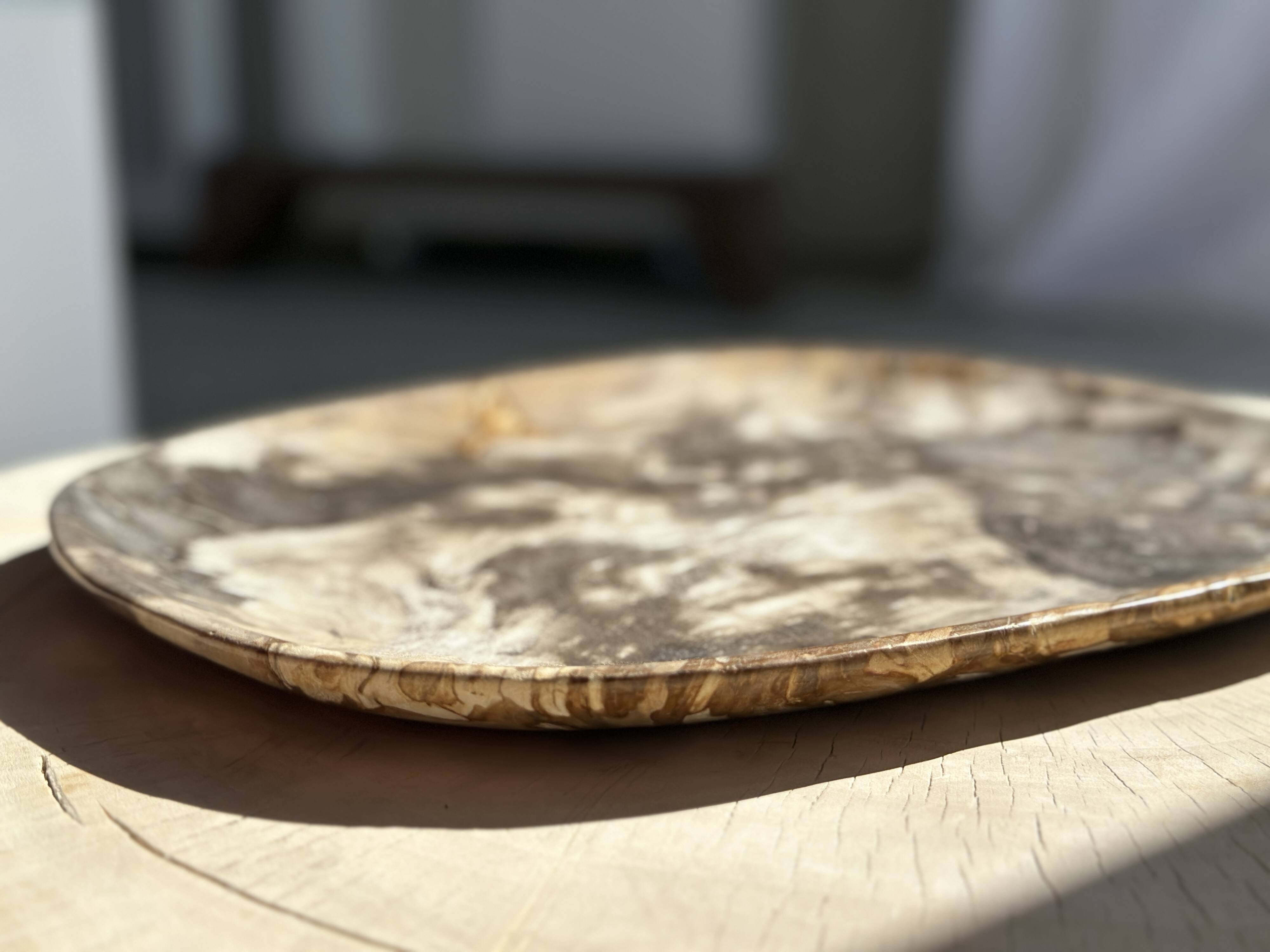 Very large pocket or dish in petrified wood