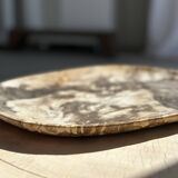 Very large pocket or dish in petrified wood