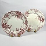 Ironstone Service - Saint Amand - Campanule