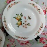 6 assiettes dessert Arcopal décor pomme fleur pommiers vaisselle ancienne elf