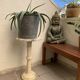 White marble pedestal table