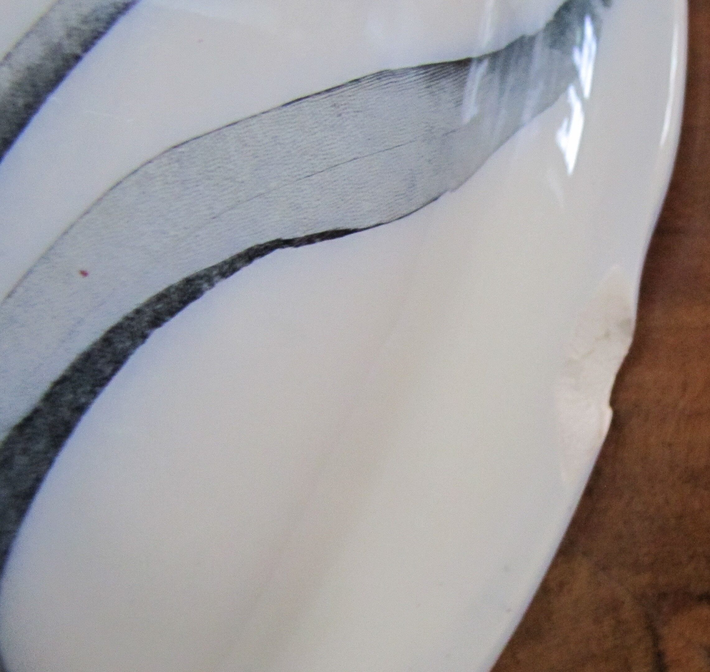 IRIS and dragonfly, beautiful!