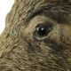 Wild boar head taxidermy wild boar bust stuffed animal 55cm