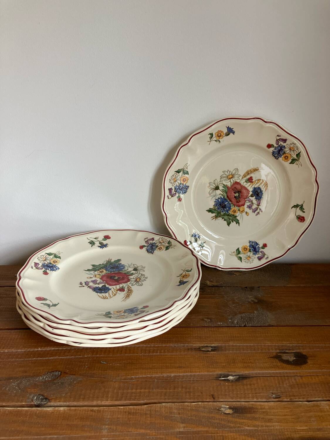 6 dinner plates