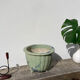 Chinese blue ceramic pot cover