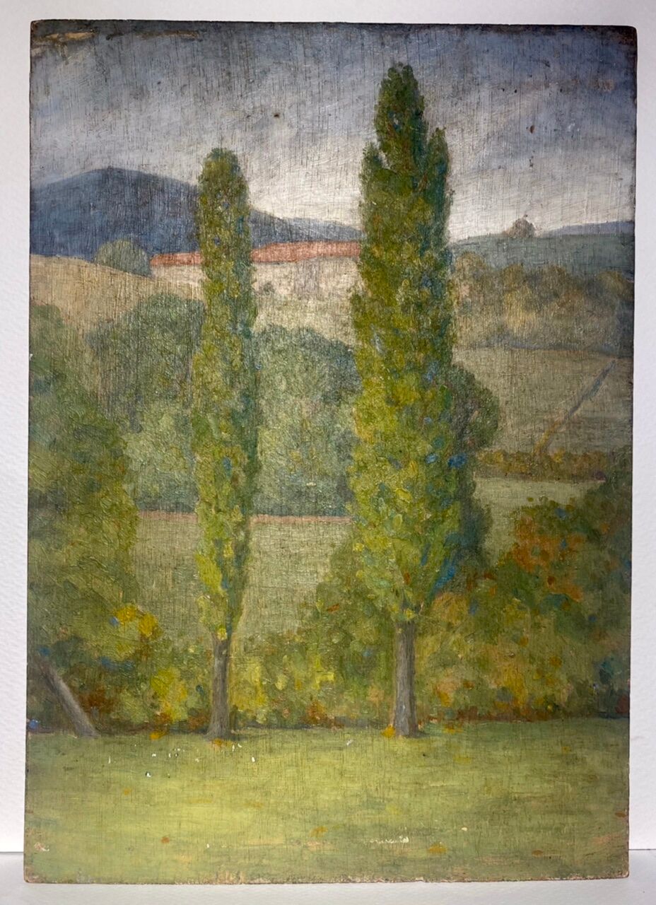 Tableau ancien, double face, paysage bord de Saône, début XX siècle
