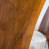 Pair of Dining Chairs by Antonin Suman, 1960s