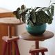 Paires de tabourets rehaussables d'artiste peintre